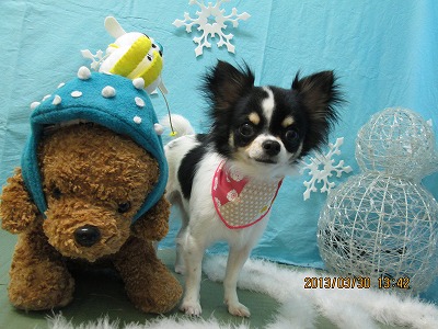 ファイル 6727-2.jpg