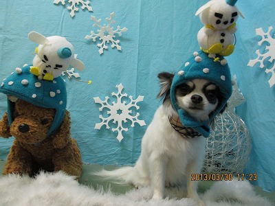 ファイル 6728-1.jpg