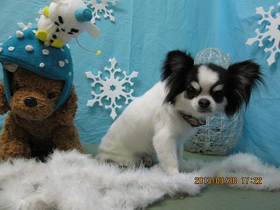 ファイル 6728-2.jpg