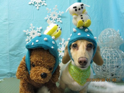 ファイル 6729-1.jpg