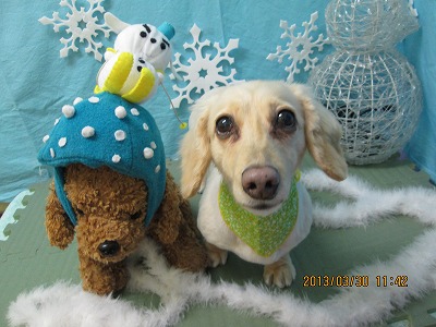 ファイル 6729-2.jpg