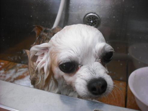 ファイル 673-2.jpg