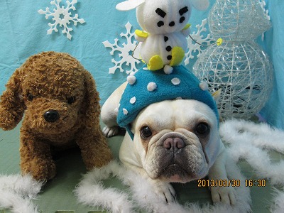 ファイル 6730-1.jpg