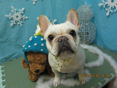 ファイル 6730-2.jpg