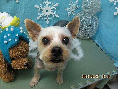 ファイル 6733-2.jpg