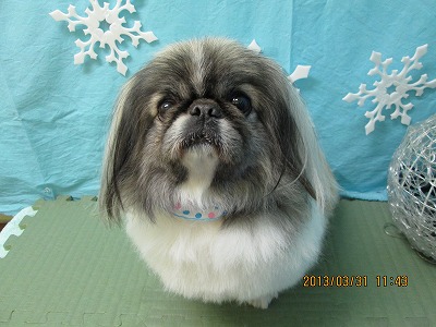 ファイル 6734-2.jpg