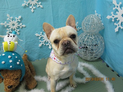 ファイル 6735-2.jpg