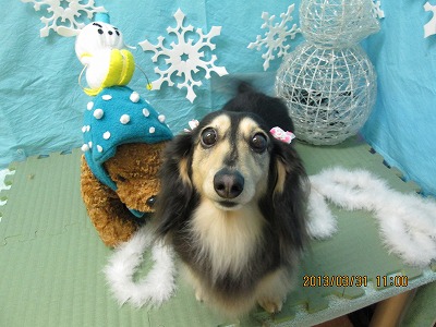 ファイル 6737-2.jpg