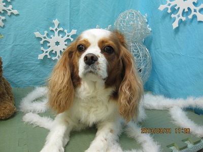 ファイル 6738-2.jpg