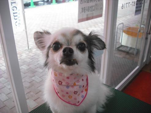 ファイル 674-1.jpg