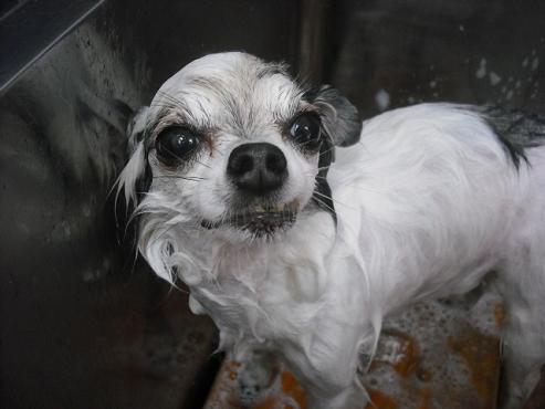 ファイル 674-2.jpg