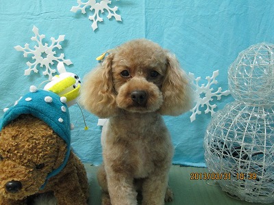 ファイル 6740-2.jpg