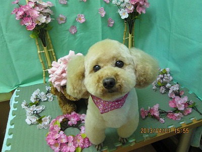 ファイル 6742-2.jpg