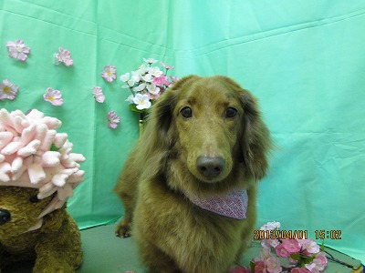 ファイル 6745-2.jpg