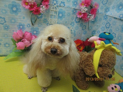 ファイル 6746-1.jpg