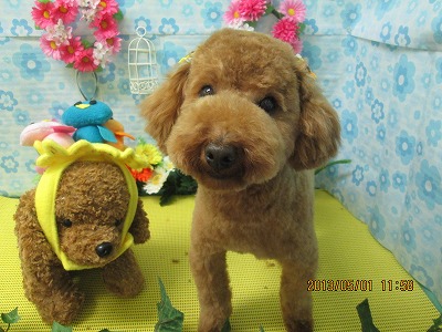 ファイル 6747-2.jpg