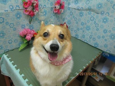 ファイル 6748-1.jpg