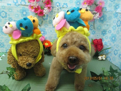 ファイル 6749-1.jpg