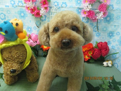 ファイル 6749-2.jpg