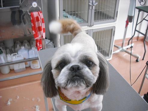 ファイル 675-1.jpg