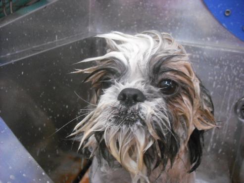 ファイル 675-2.jpg