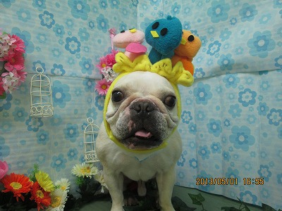 ファイル 6750-1.jpg