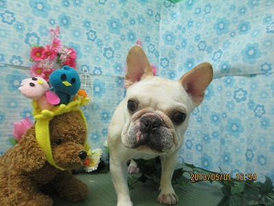 ファイル 6750-2.jpg