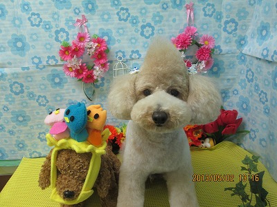 ファイル 6752-2.jpg