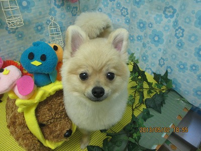 ファイル 6753-2.jpg