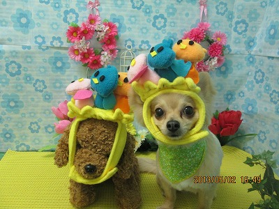 ファイル 6754-1.jpg