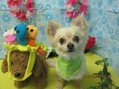 ファイル 6754-2.jpg