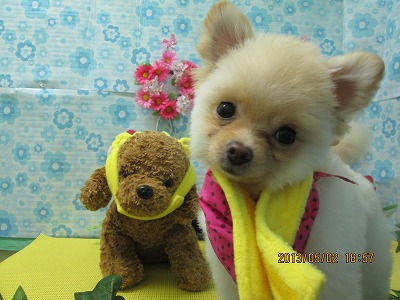 ファイル 6755-1.jpg