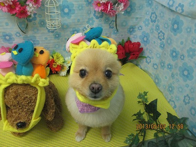 ファイル 6756-1.jpg