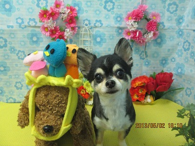 ファイル 6757-2.jpg