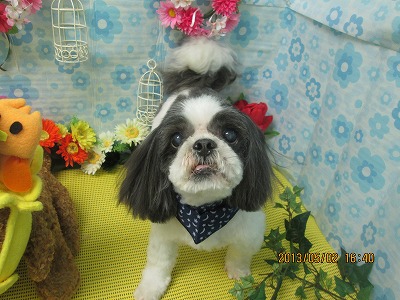 ファイル 6758-2.jpg