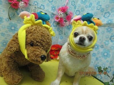 ファイル 6759-1.jpg