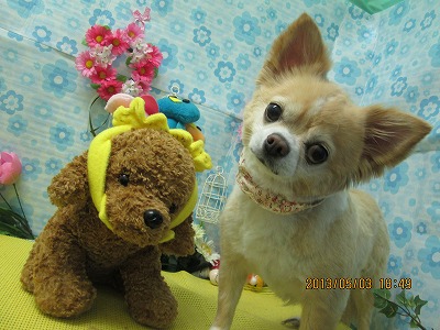 ファイル 6759-2.jpg