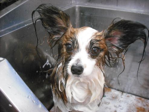 ファイル 676-2.jpg