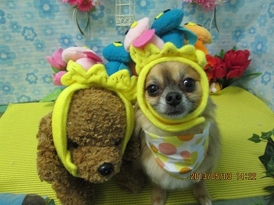 ファイル 6760-1.jpg