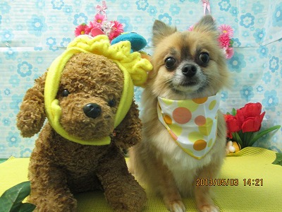 ファイル 6760-2.jpg