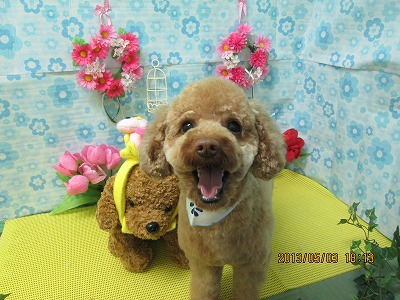 ファイル 6761-1.jpg