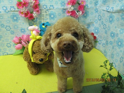 ファイル 6761-2.jpg