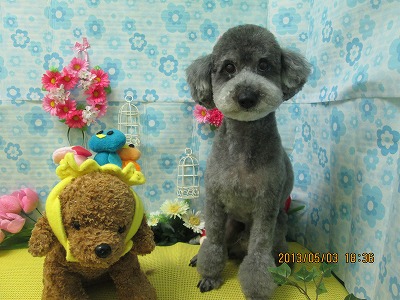 ファイル 6762-1.jpg