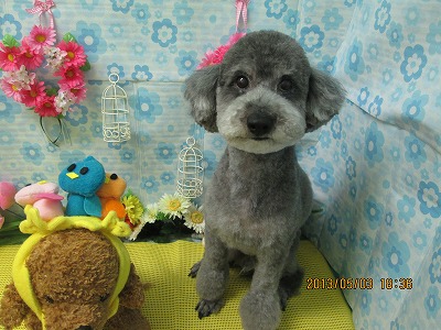 ファイル 6762-2.jpg