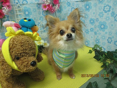 ファイル 6764-2.jpg