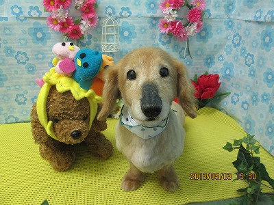 ファイル 6765-2.jpg