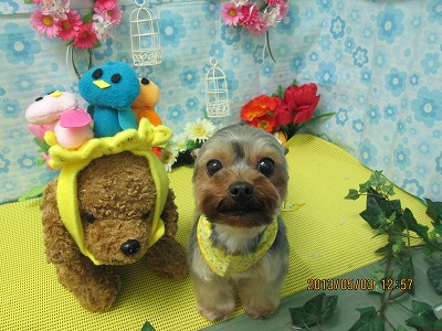 ファイル 6766-1.jpg