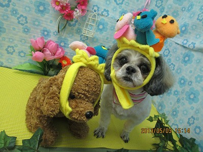 ファイル 6767-1.jpg