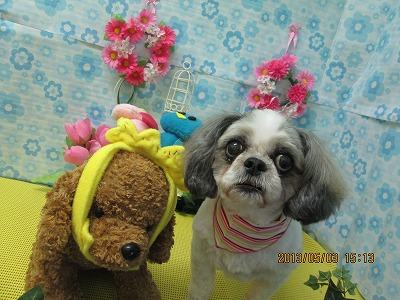 ファイル 6767-2.jpg