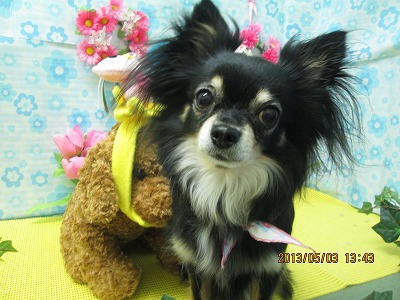 ファイル 6768-1.jpg